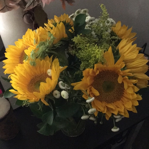 jeannie_wagner